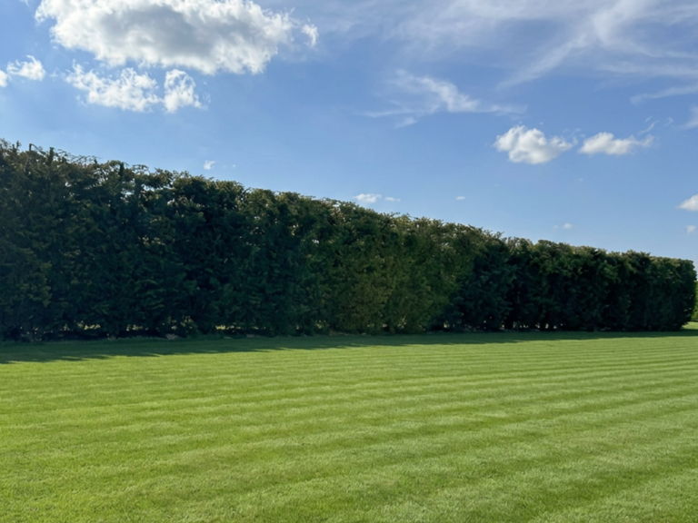 Vente Terrain 1 000 m&sup2; — photo 1