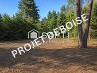 TERRAIN À BÂTIR  270 m²  UNIEUX, SECTEUR LA CROIX DE MARLET — photo 3