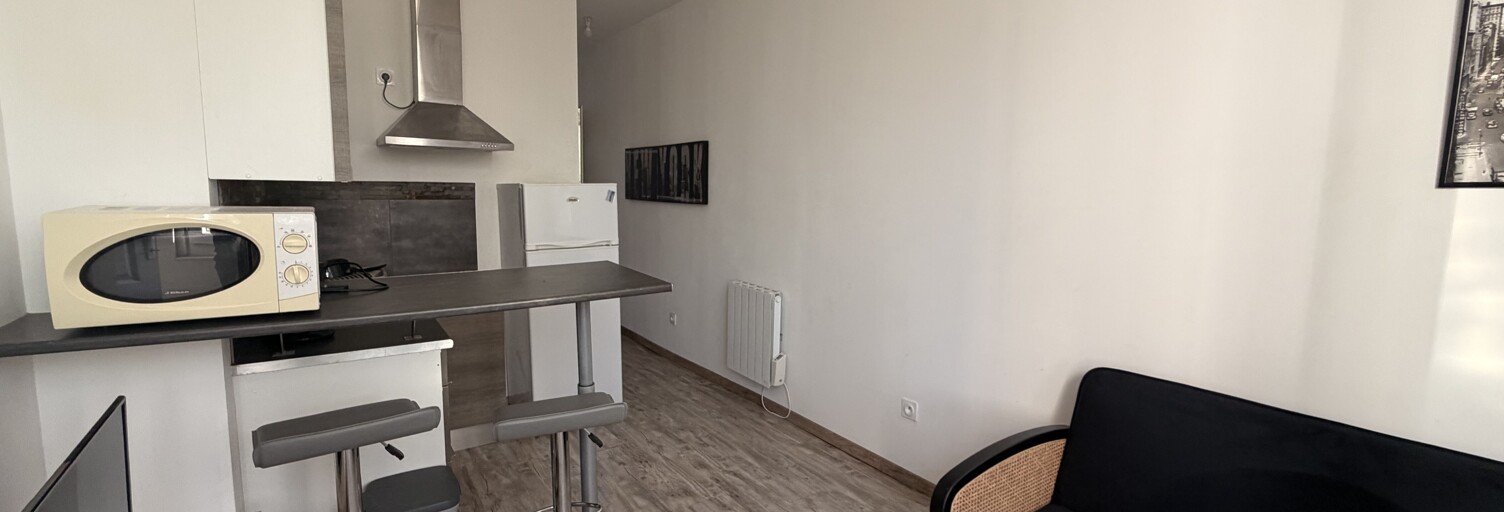 Appartement 1 Pièce 22 m² à louer à Roanne (42300)