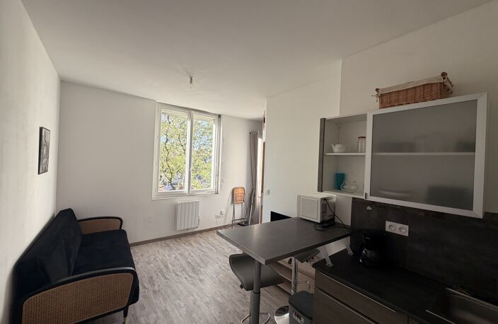 Location appartement 1 pièce 22 m² à Roanne (42300) — photo 4