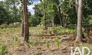 Terrain  1661 m² à vendre à Saint-Benoît-la-Forêt (37500)