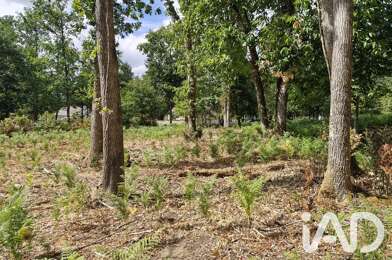 Terrain  45000 €