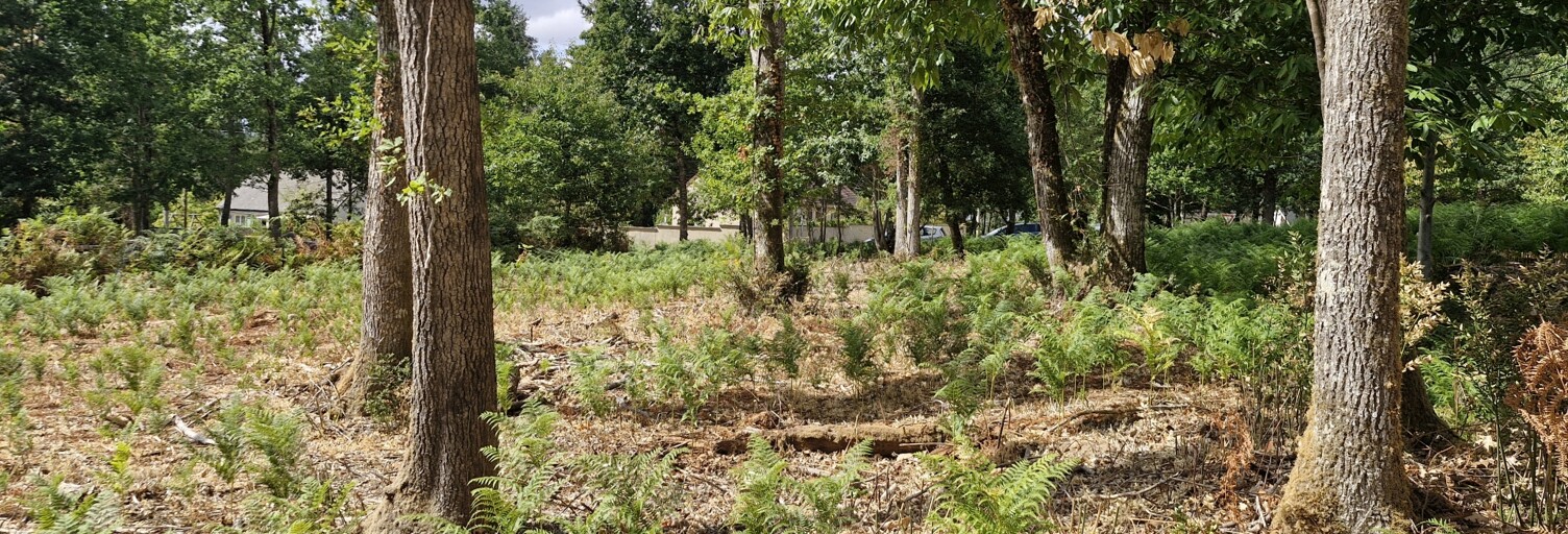 Terrain  1661 m² à vendre à Saint-Benoît-la-Forêt (37500)