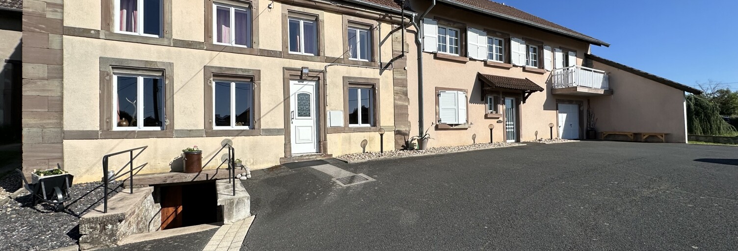 Maison 11 Pièces 302 m² à vendre à Guntzviller (57405)