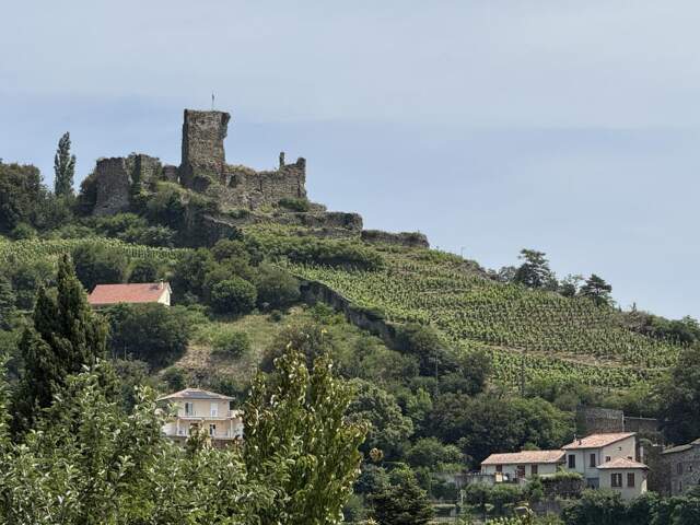 Vienne – Bon Accueil – Grand T4 avec terrasse plein sud, trois chambres et parking privatif — photo du bien