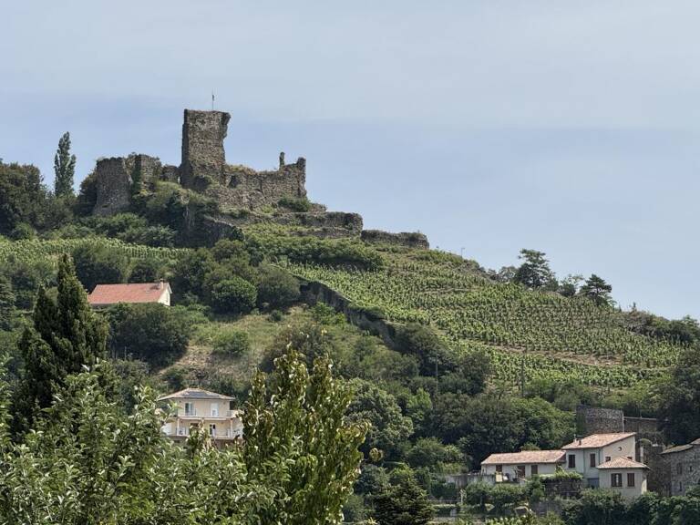 Vienne – Bon Accueil – Grand T4 avec terrasse plein sud, trois chambres et parking privatif — photo 1