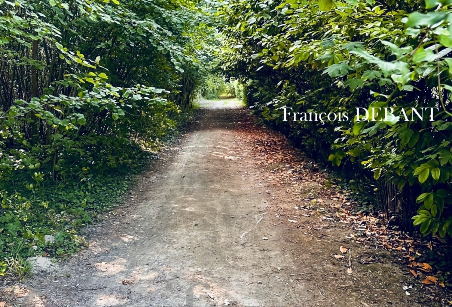 Terrain à vendre de 4 900,00 m² proche de REIMS (51) — photo 1