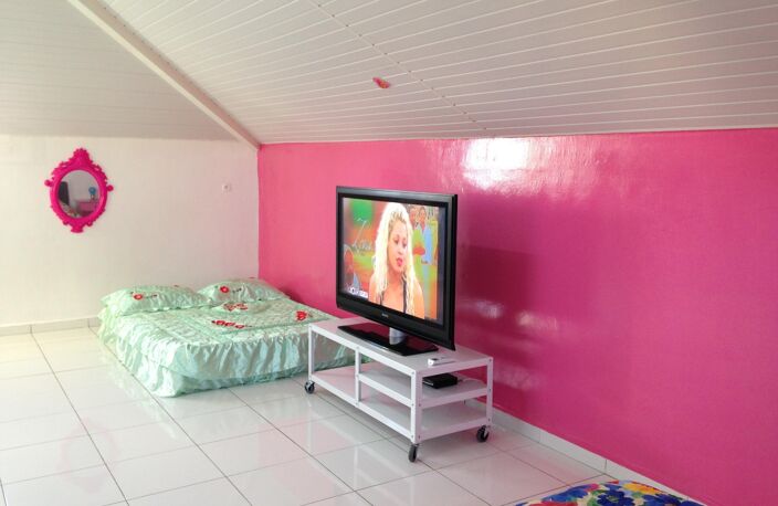 EN EXCLUSIVITE - A VENDRE – GRANDE MAISON FAMILIALE AVEC FORT POTENTIEL LOCATIF - QUARTIER RECHERCHE SAINTE ANNE — photo 3