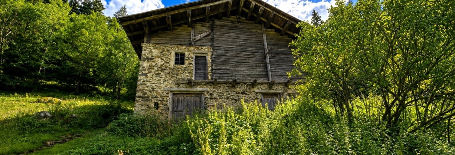 Maison 5 Pièces 250 m² à vendre à Beaufort (73270)