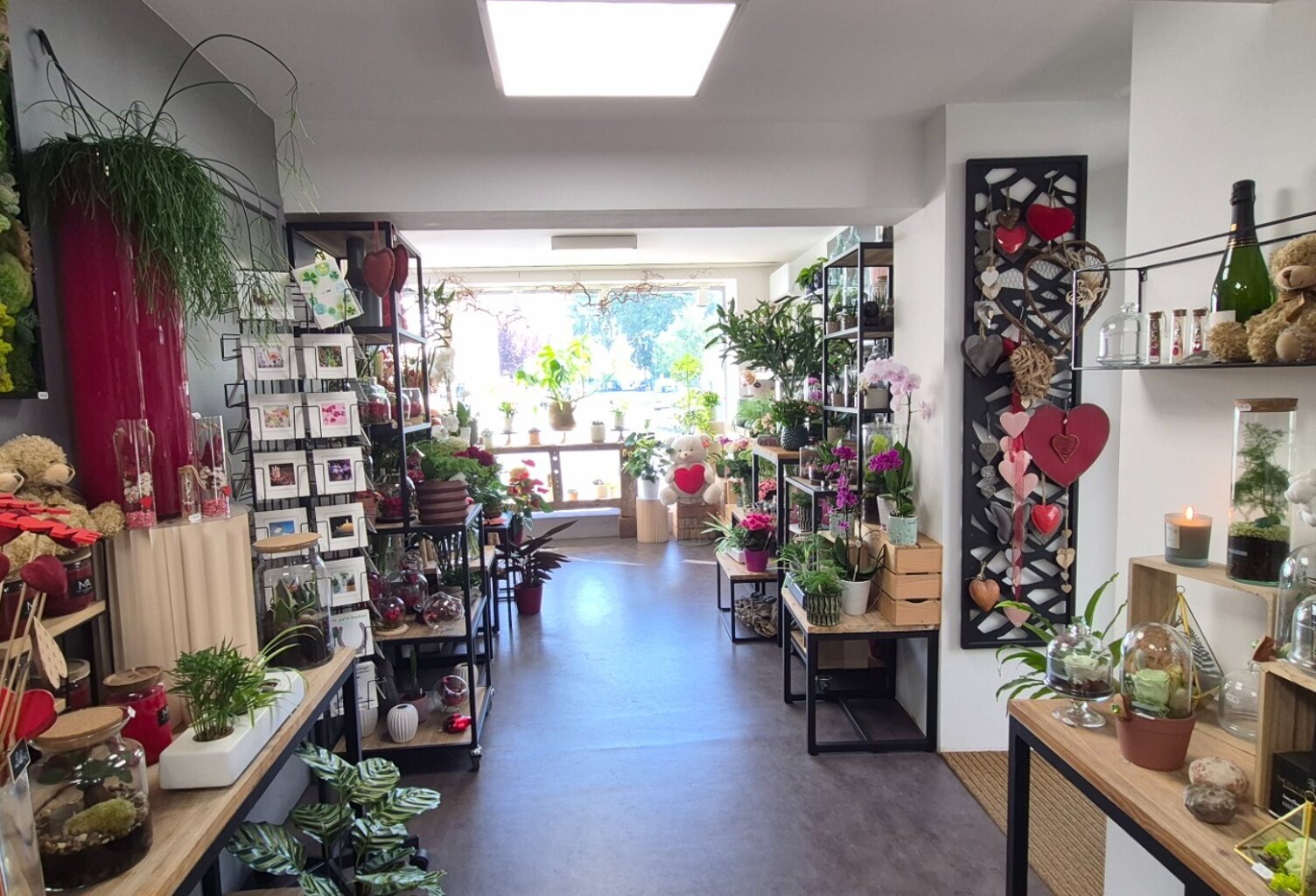 Fonds de commerce de fleuriste + immeuble à vendre à Gerzat (63) ! — photo 1