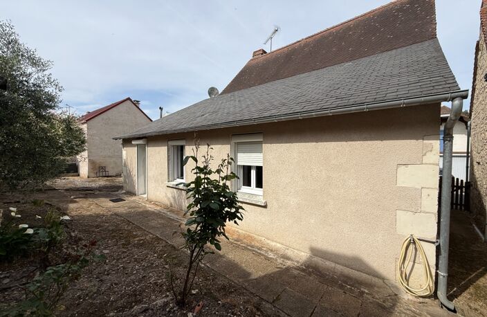 Dept de la Vienne (86) Maison à vendre 4 pièces + terrain à LESIGNY SUR CREUSE (86) — photo 4