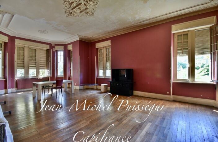 Dpt Haute Garonne (31), à Vendre à SAINT GAUDENS Manoir 12 pièces de 350 m² Vue Pyrénées Terrain de 10.000m² — photo 2