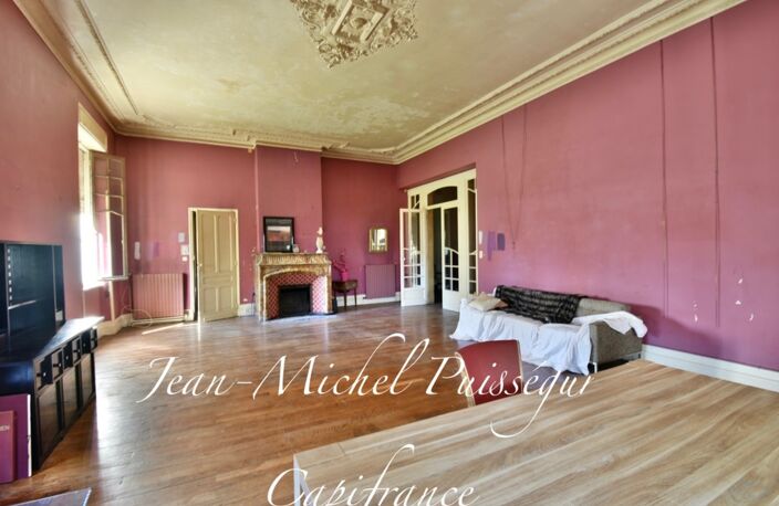 Dpt Haute Garonne (31), à Vendre à SAINT GAUDENS Manoir 12 pièces de 350 m² Vue Pyrénées Terrain de 10.000m² — photo 3