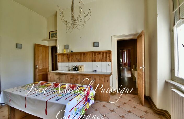Dpt Haute Garonne (31), à Vendre à SAINT GAUDENS Manoir 12 pièces de 350 m² Vue Pyrénées Terrain de 10.000m² — photo 4