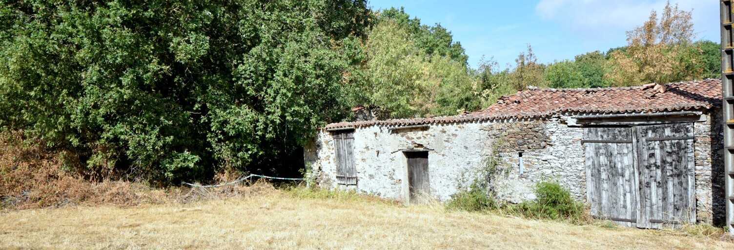 Maison 3 Pièces 75 m² à vendre à Le Landreau (44430)