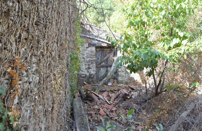 Cave à rénover - 3 pièces LE LANDREAU (44) — photo 2