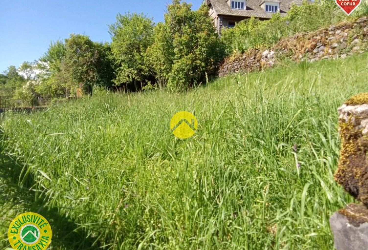 TERRAIN — photo 1
