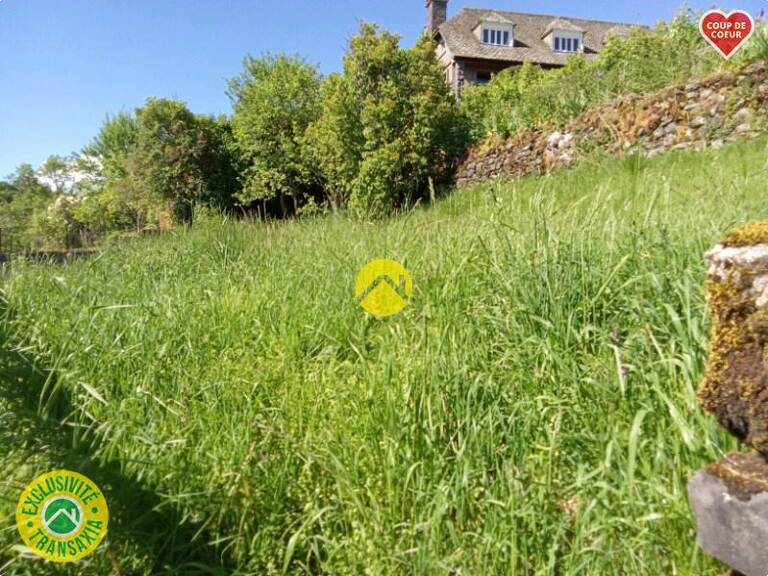TERRAIN — photo 1