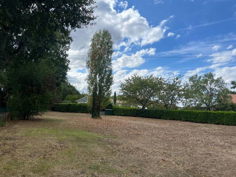 Terrain À Vendre — photo 1