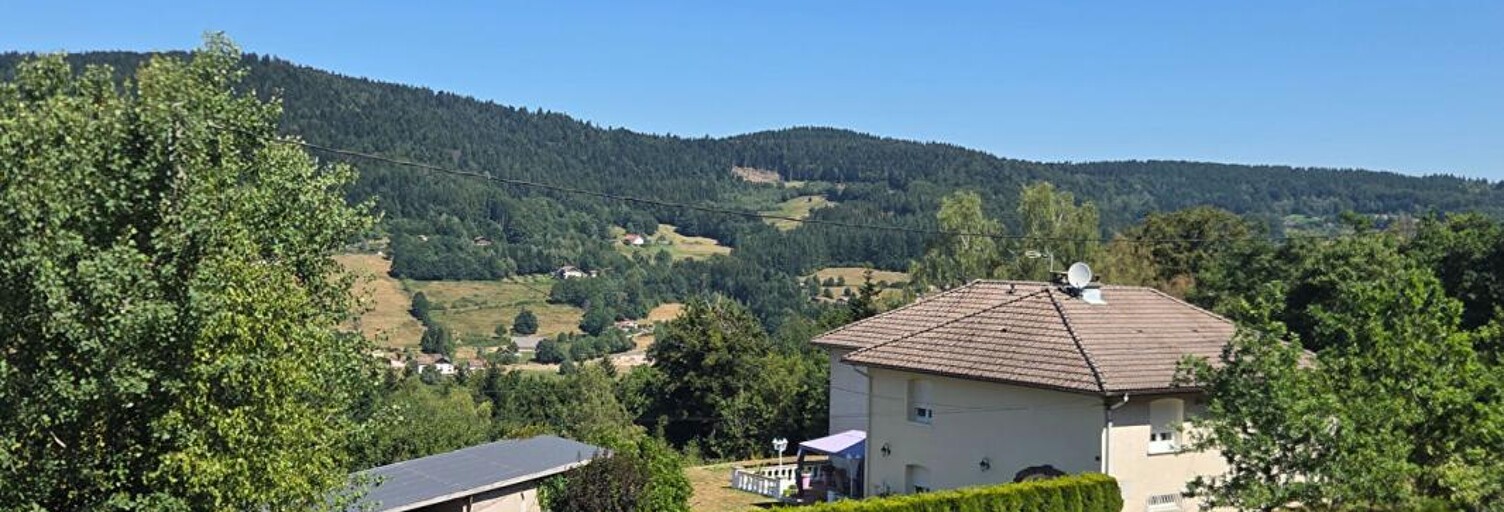 Maison 8 Pièces 235 m² à vendre à Le Syndicat (88120)