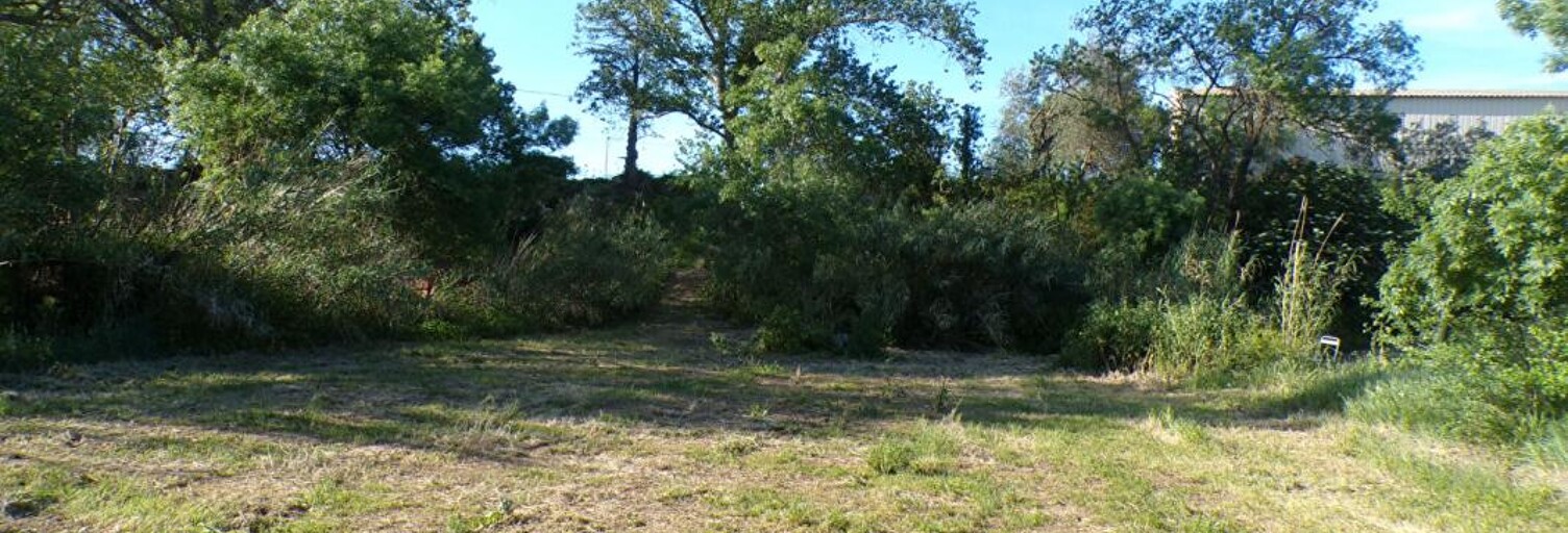 Terrain  3816 m² à vendre à Fabrezan (11200)
