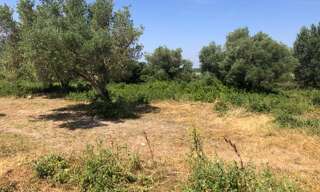 Terrain  6640 m² à vendre à Saint-Hilaire-d'Ozilhan (30210)