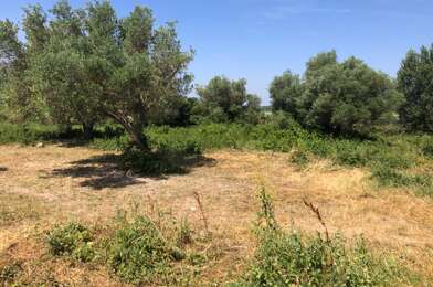 Terrain  72000 €