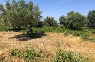 Terrain agricole Saint Hilaire D Ozilhan 6640 m2 72000 — photo du bien