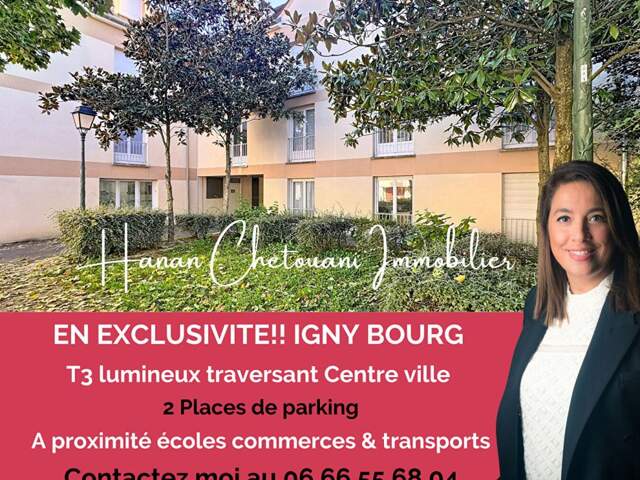 Appartement 3 pièces  Igny centre-ville Lumineux & Traversant  2 Parkings — photo du bien