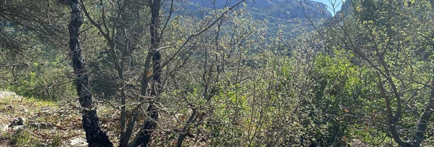 Terrain  2000 m² à vendre à Plan-d'Aups-Sainte-Baume (83640)