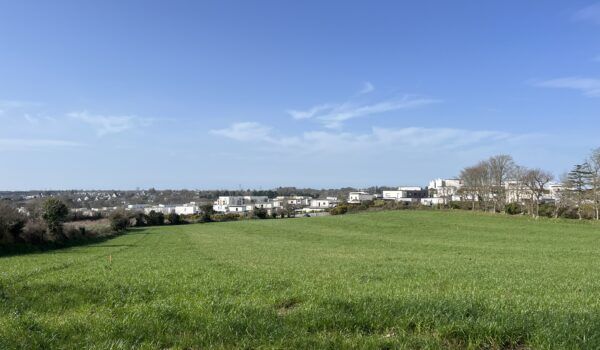 Agence immobilière de Mikit Bourgoin-Jallieu