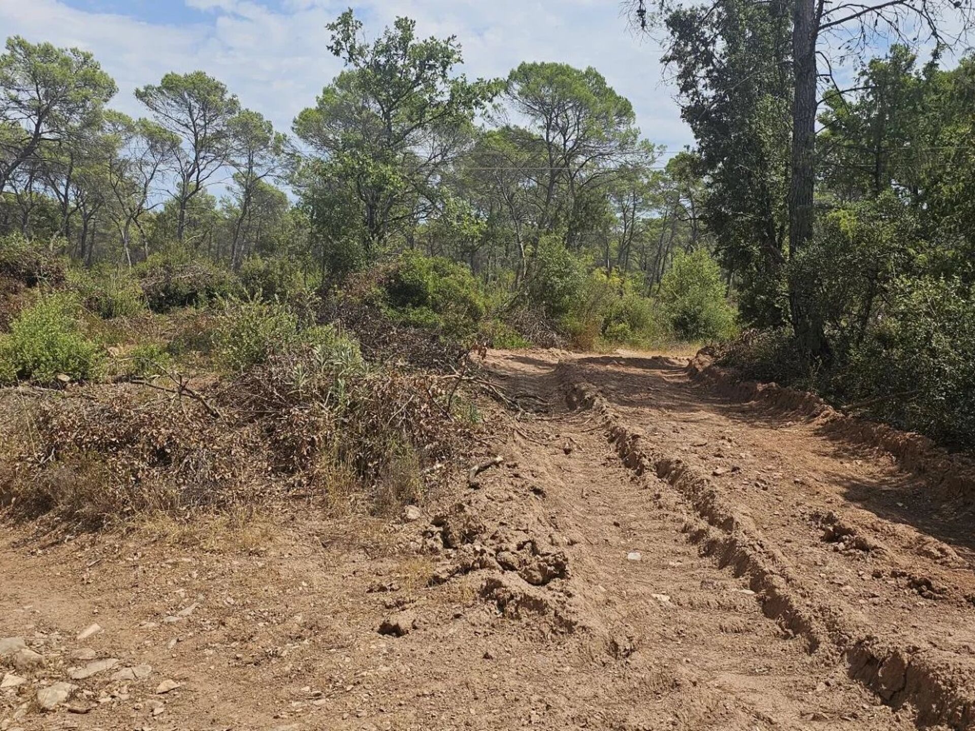 Vente Terrain 20000 m2 à Cabasse · 67 500 €