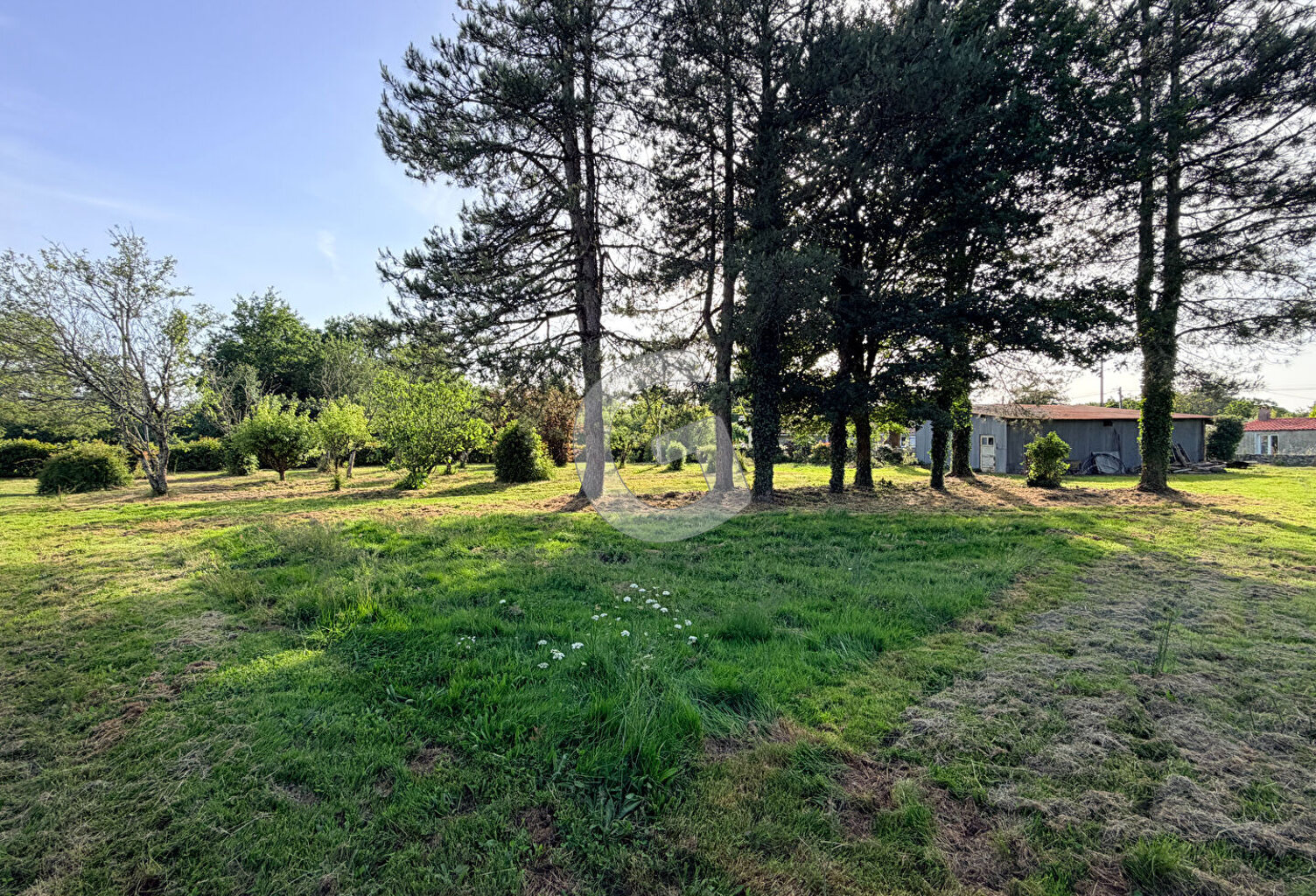 TERRAIN CONSTRUCTIBLE - 1264 M² - A VENDRE - SAINT VINCENT SUR GRAON — photo 1