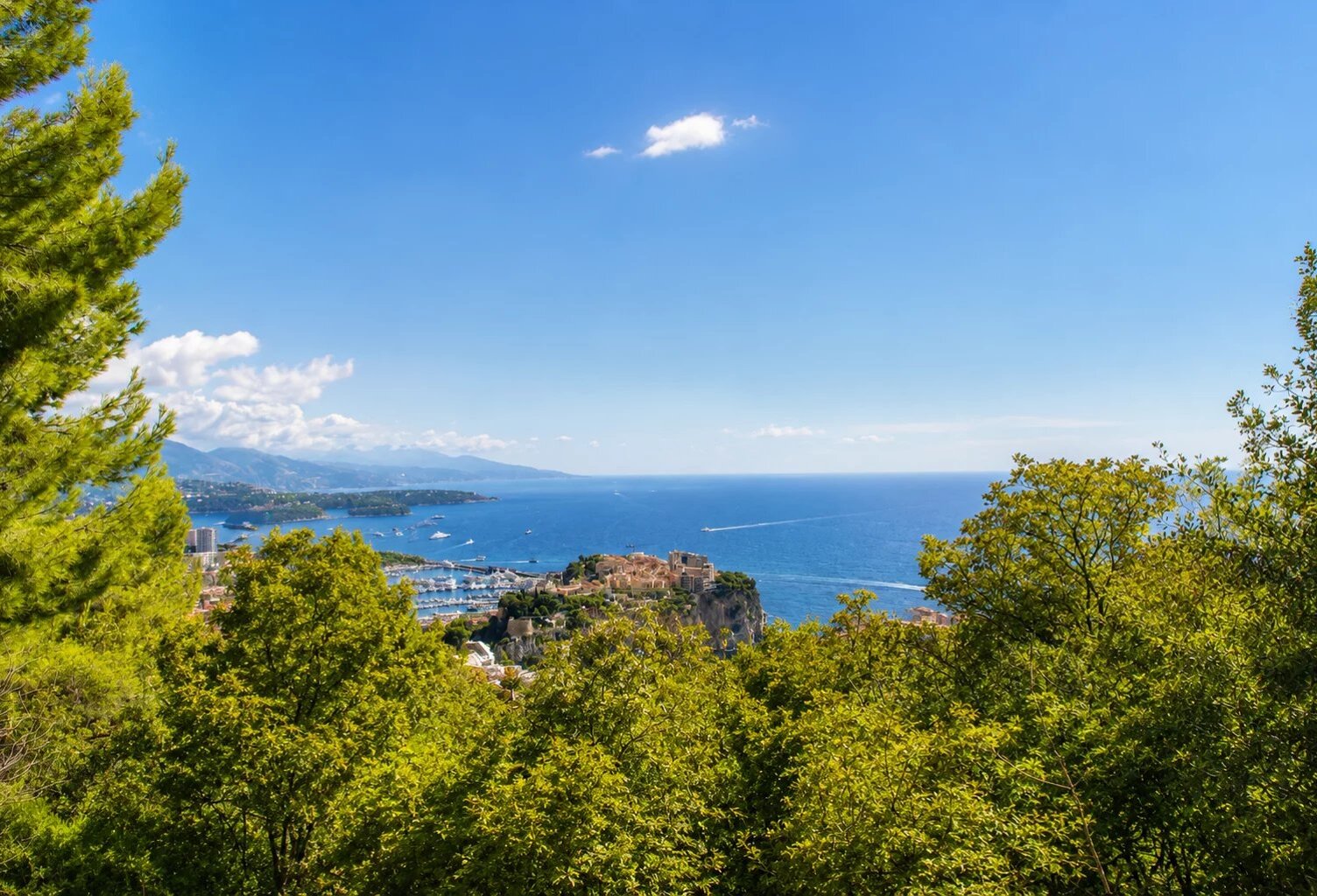 CAP D'AIL 'SIGNAL' - VILLA 3P 100M² + DÉPENDANCE | VUE MER | PAR — photo 1