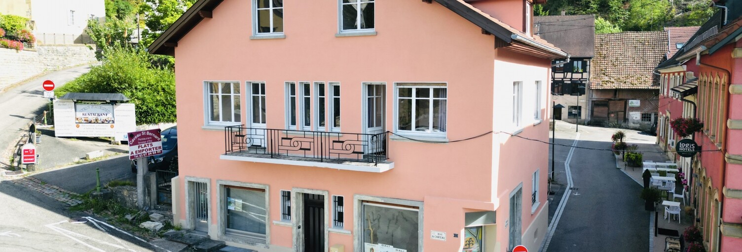 Maison 9 Pièces 251 m² à vendre à Ferrette (68480)