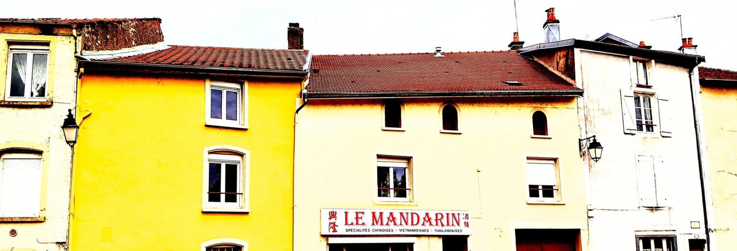 Commerce 7 Pièces 607 m² à vendre à Mirecourt (88500)