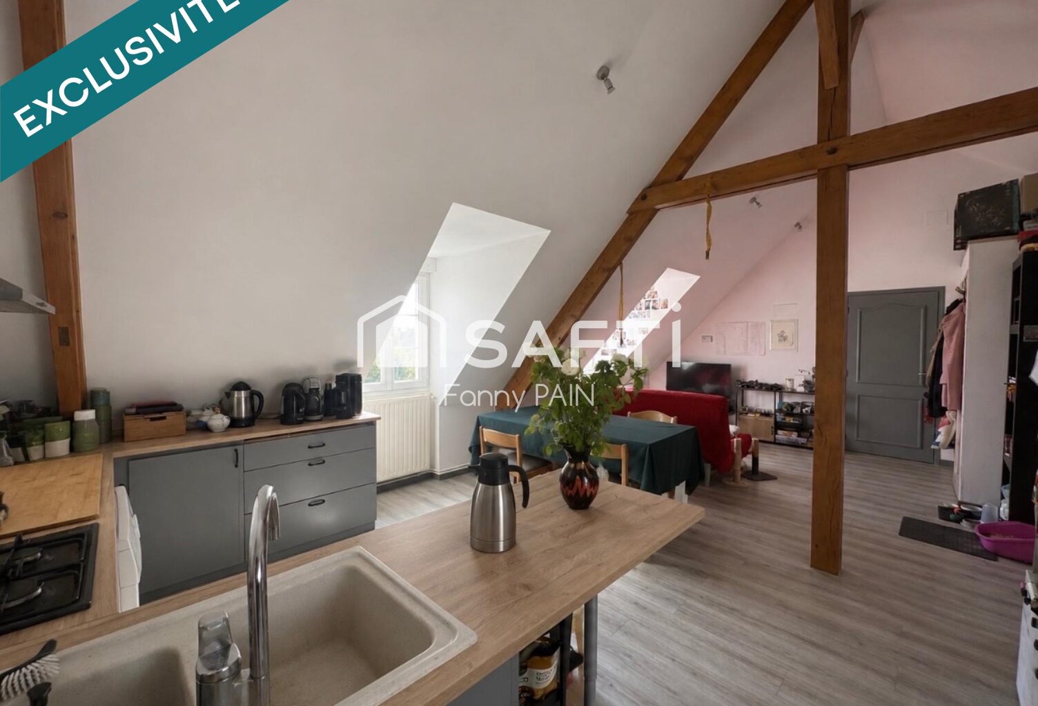 BELLE OPPORTUNITÉ INVESTISSEUR  SAINT-PIERRE-DES-CORPS — photo 1
