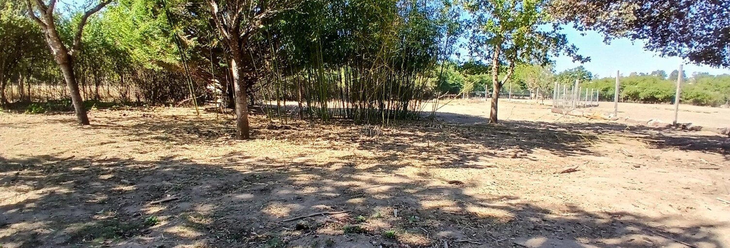 Terrain  4450 m² à vendre à Mornay-sur-Allier (18600)