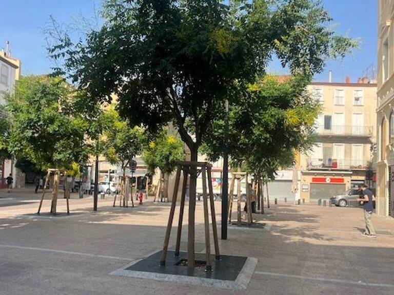 3 Pièces avec locataire — photo 1