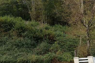 Terrain  26500 €