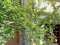 Vente Maison traditionnelle 7 pièces — photo 2
