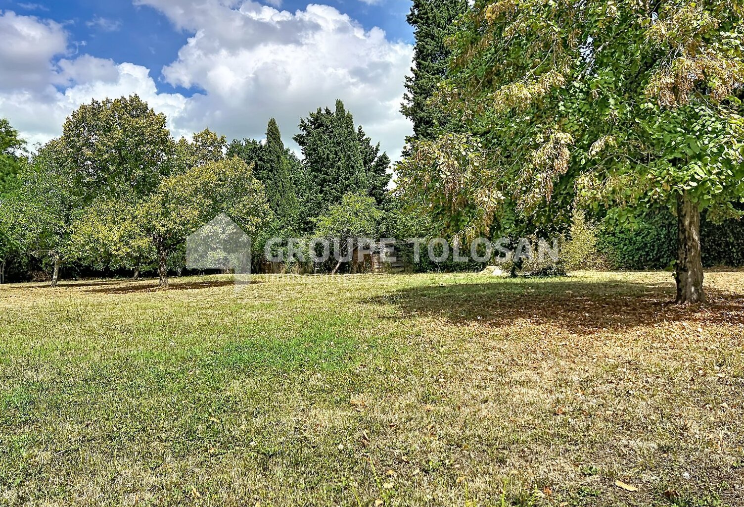 Terrain — photo 1