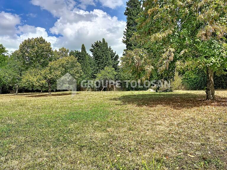 Terrain — photo 1
