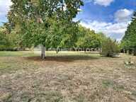 Terrain — photo 2