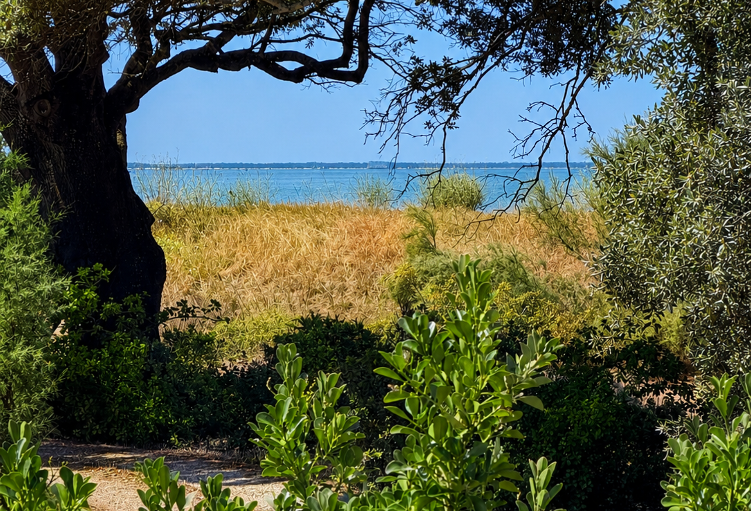Vente Maison/villa 4 pièces — photo 1