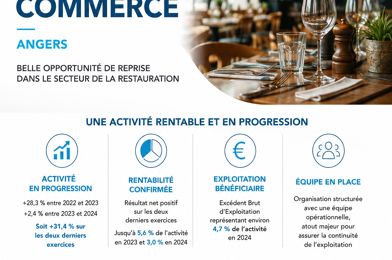 Commerce  368000 €