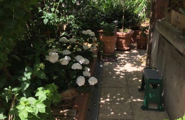 Vente Maison de ville 7 pièces — photo 4