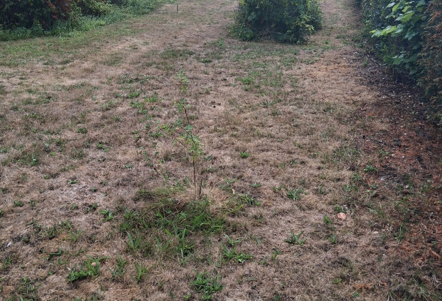 Vente Terrain à bâtir 300 m&sup2; — photo 1