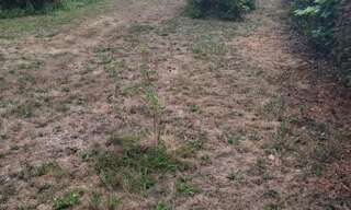 Terrain  300 m² à vendre à Bois-Guillaume (76230)
