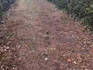 Vente Terrain à bâtir 300 m&sup2; — photo 3